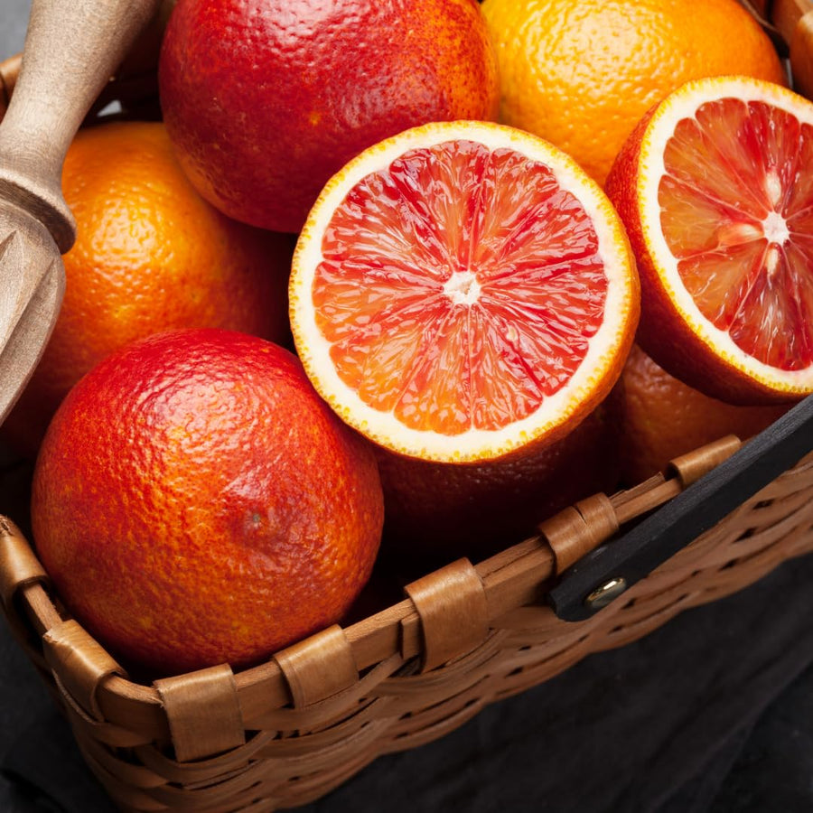 Live Blood Orange Tree Plant, Sweet Red Orange Fruit Tree, 3 Feet Tall, Ready for Growing