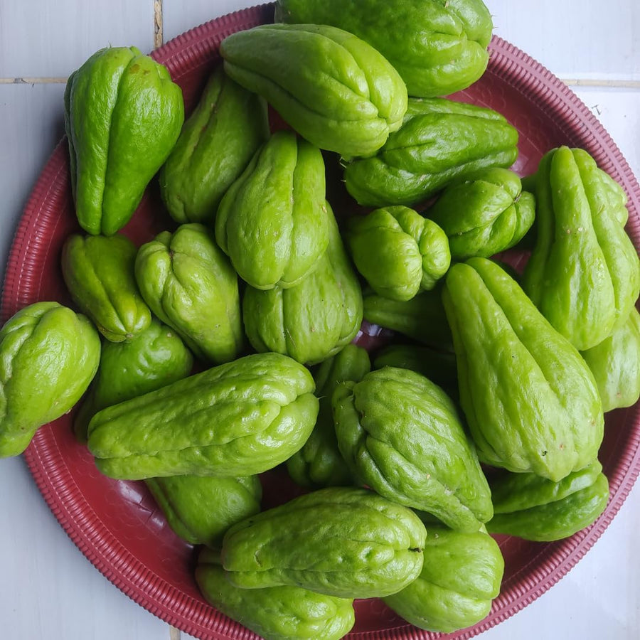 Green Chayote Squash Vine Live Plant, Edible Vegetable Plant, 8-10 Inches Tall for Garden Planting