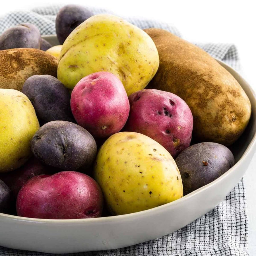2 Lbs Mixed Potato Tubers High Yielding for Outdoor Planting,Vegetables Potatoes Plants Bulbs Seeds, Heirloom Seed Potato Live Tuber: Purple, Yellow, Red