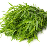 Pack 2 Tarragon Plants Live, Tarragon Herb Plant Ready to Grow, 5-9 Inch Tall, Tarragon Mint for Your Garden and Culinary Needs