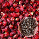 Pack 50 Roselle Seeds, Hibiscus Sabdariffa Seeds for Planting, Roselle Hibiscus Seed for Herbal Garden