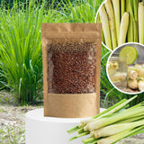 800 Lemongrass Seeds, Perennial Lemon Grass Herb, Lemongrass for Outdoor Landscape