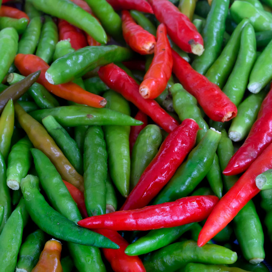 100 Bird Chili Pepper Seeds, Thai Chili Pepper Seeds, Hot Pepper Vegetable Seeds for Outdoor Garden and Indoor Containers