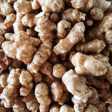 2 Lbs Jerusalem Artichoke Roots, Sunchoke Tubers for Planting, Edible Garden Vegetable, Ready for Garden Growing