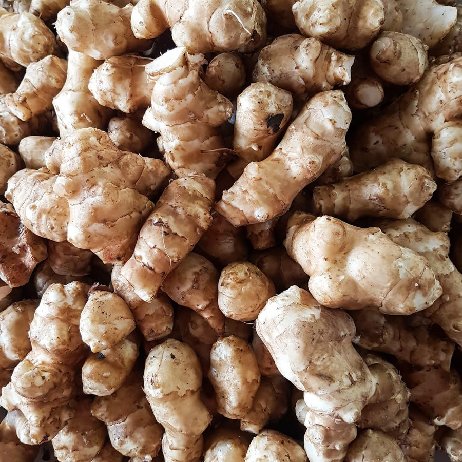 2 Lbs Jerusalem Artichoke Roots, Sunchoke Tubers for Planting, Edible Garden Vegetable, Ready for Garden Growing