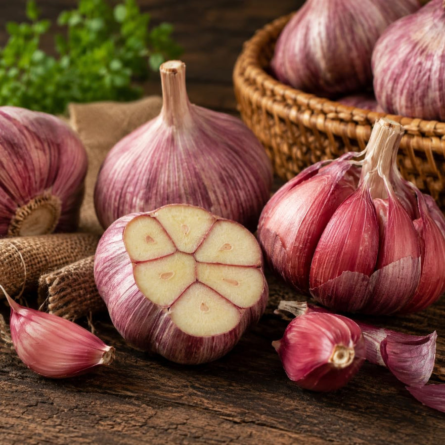 4 Large Red Garlic Bulbs for Planting, Garlic for Planting, High-Yield Hardy Garlic for Garden