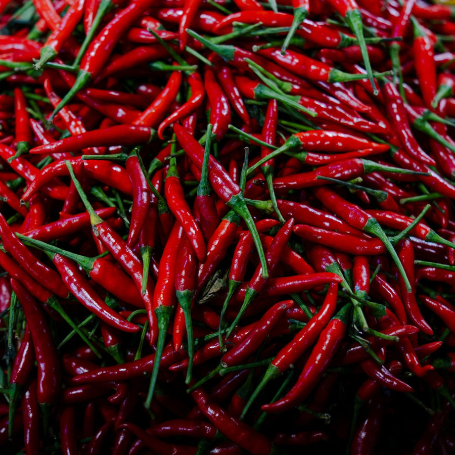 50 Bird Chili Pepper Seeds, Hot Pepper for Planting, Heirloom Variety for Garden