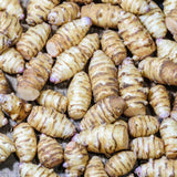 1 Lb Sunchoke Tubers, Jerusalem Artichoke for Planting, Hardy Perennial Tubers, Easy Grow, Outdoor Planting