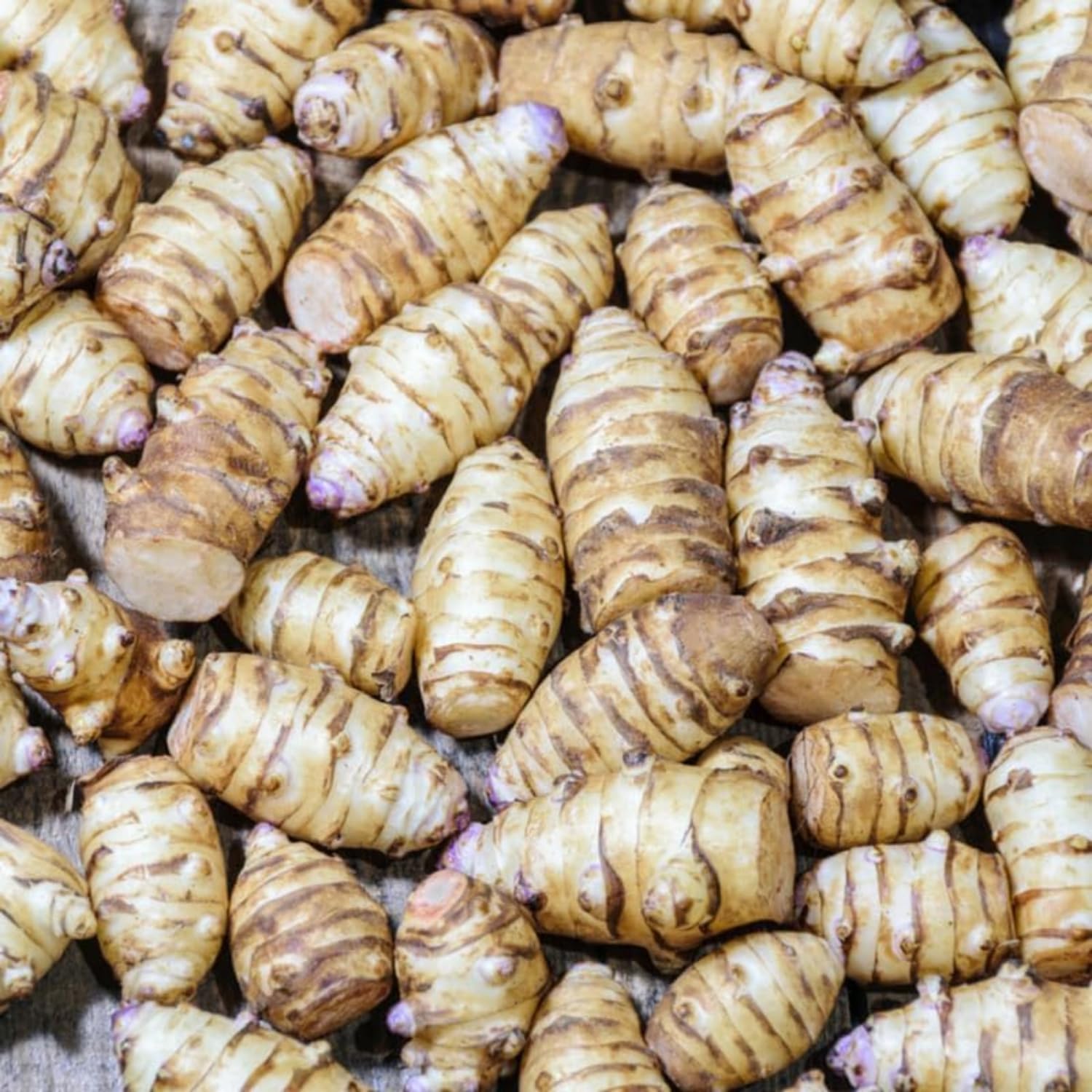 1 Lb Sunchoke Tubers, Jerusalem Artichoke for Planting, Hardy Perennial Tubers, Easy Grow, Outdoor Planting