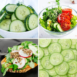 60 Smooth Cucumber Seeds for Planting, Cucumber Vegetable Seeds for Outdoor Growing