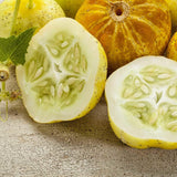 Lemon Cucumber Plants Live, 6-8 Inches Tall in 4 Inch Pot, 2 Plants Per Pot, Vegetable Plants for Garden or Containers