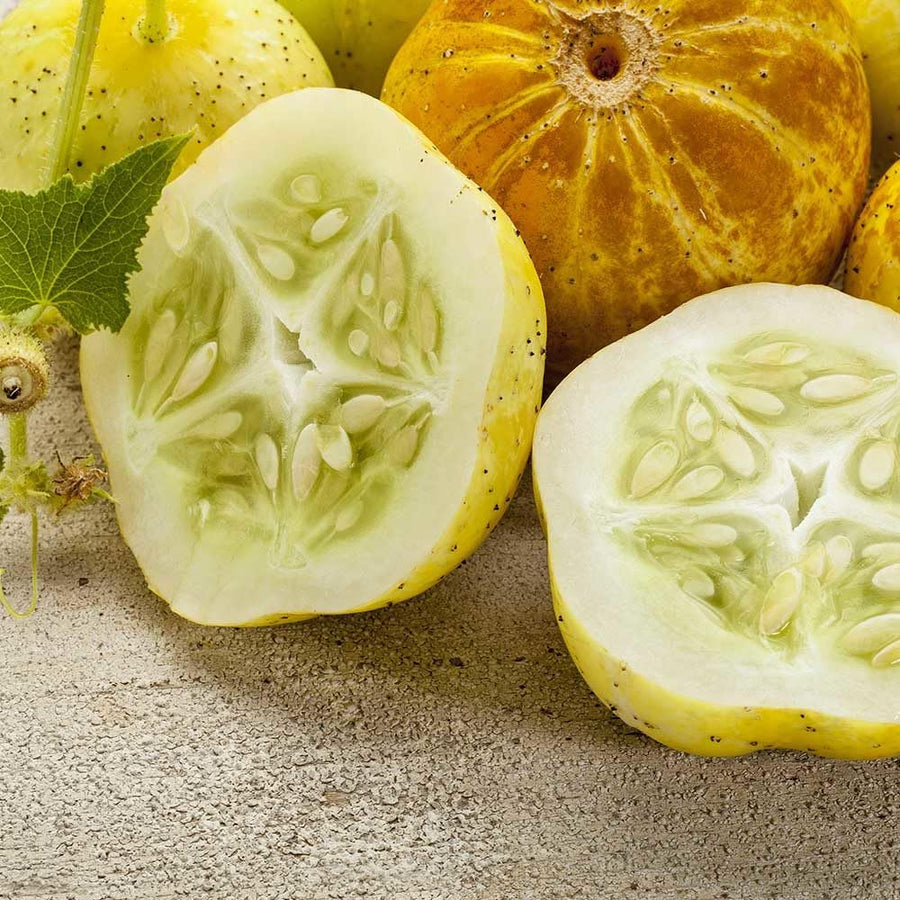 Lemon Cucumber Plants Live, 6-8 Inches Tall in 4 Inch Pot, 2 Plants Per Pot, Vegetable Plants for Garden or Containers