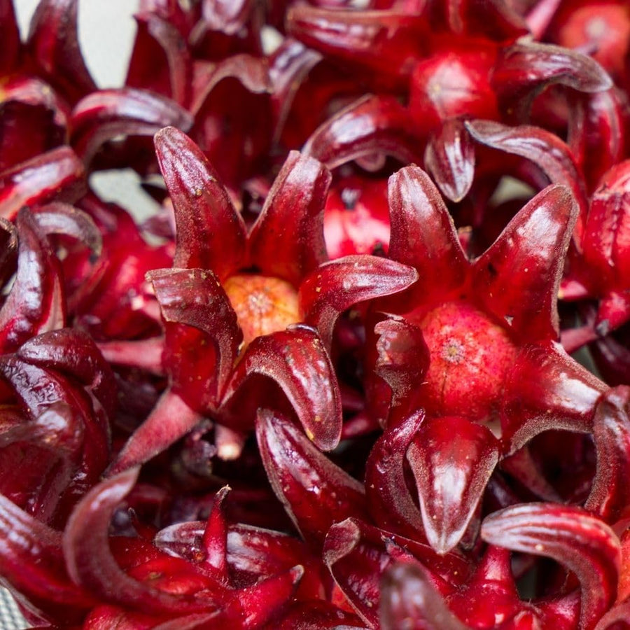 50 Roselle Seeds for Planting, Roselle Hibiscus Seeds, Hibiscus Sabdariffa Seed, Fresh Garden Edible Flower Plant Seed
