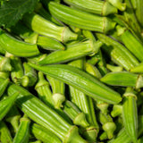 2 Live Green Okra Plants, 4 to 8 Inches Tall, Okra Starter Plants, Fast-Growing Vegetable Plants for Raised Beds and Gardens