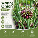 Pack 200 Walking Onion Seeds, Walking Onion Seeds for Planting, Hardy Onions, Perennial Vegetable for Backyard Garden