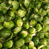 Set of 2 Pot Brussel Sprouts Plants Live, Brussel Sprouts Plants, Vegetable Seedlings, 4 Inch Pot for Outdoor Growing