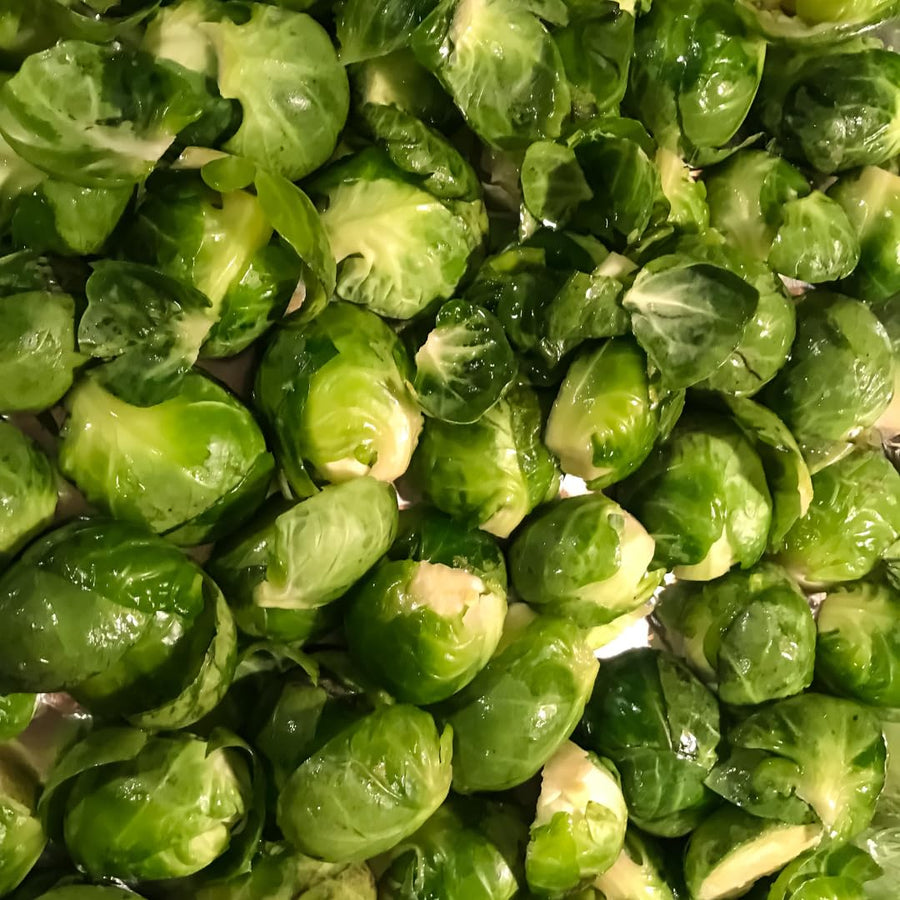 Set of 2 Pot Brussel Sprouts Plants Live, Brussel Sprouts Plants, Vegetable Seedlings, 4 Inch Pot for Outdoor Growing
