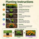 Yellow Marigold Plant 4" Pot, Live Marigold Flowering Garden Plants for Indoor Outdoor Growing, Hardy Outdoor Plants