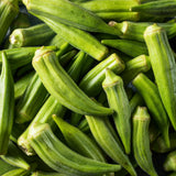 2 Green Okra Plants Live for Planting, Vegetable Plant, 4-8 Inches Tall, High Yield Garden Okra for Beds, Containers, Patio