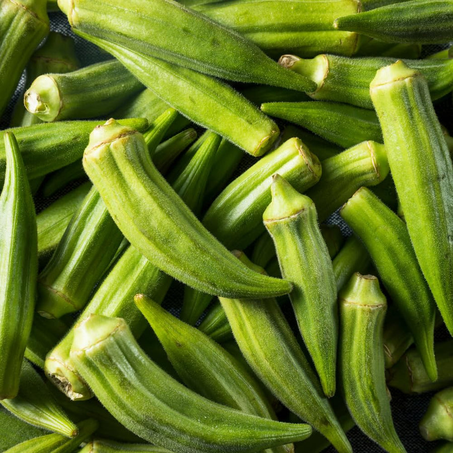 2 Green Okra Plants Live for Planting, Vegetable Plant, 4-8 Inches Tall, High Yield Garden Okra for Beds, Containers, Patio