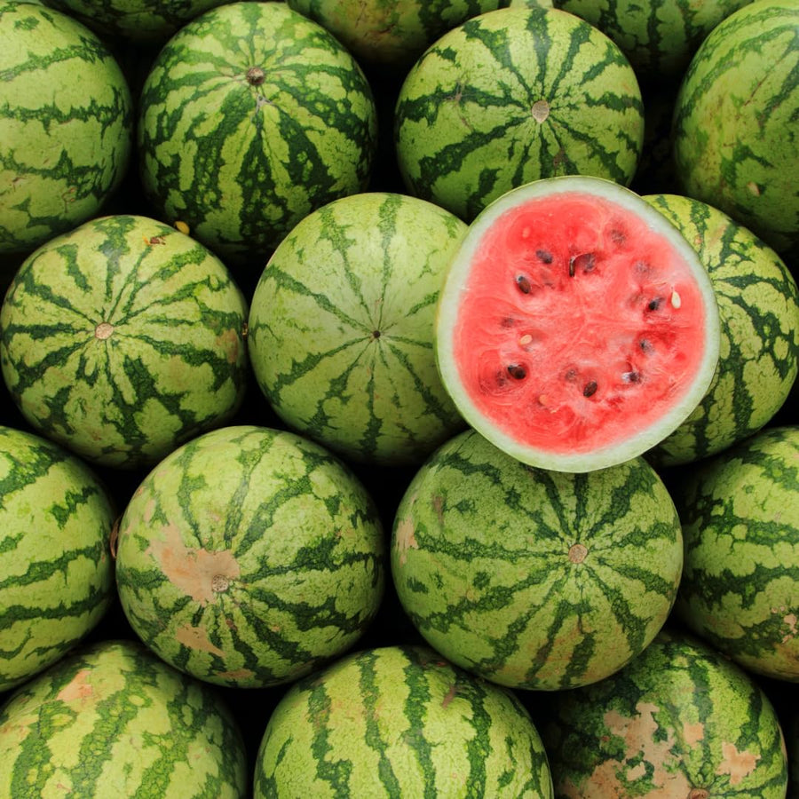 Pack 2 Watermelon Plants Live, Sweet Fruit Plant Gardening, 4-6 Inches Tall, Ready to Grow