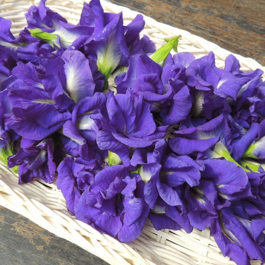 Pack 50 Butterfly Pea Seeds, Blue Butterfly Pea Flower Seeds, Ready to Grow