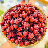 2 Roselle Hibiscus Plants Live, Sabdariffa Roselle Hibiscus Plants for Outdoor Planting in 4 Inc Pot, 2PPP, High Yielding, 3-6 Inches Tall