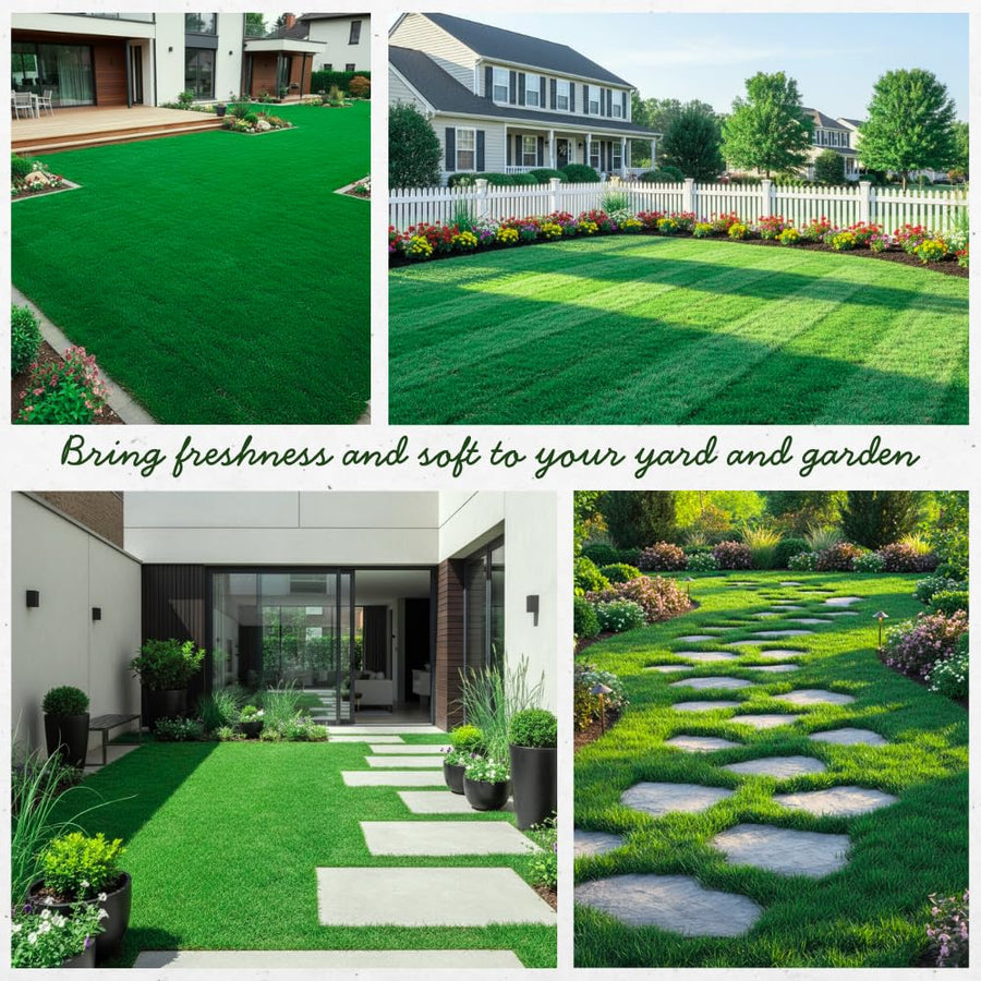 Set of 12000 Zoysia Grass Seed for Lawn, Zoysia Grass Seeds, Soft Dense Green Coverage, Green Grasses for Ground Cover, Front Yard, Backyard or Landscape