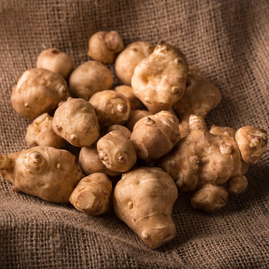 1 LB Jerusalem Artichoke Tubers, Sun Chokes Large Size and Fast-Growing, Sunchoke Jerusalem Artichoke Roots for Growing Home Garden Outdoor Spring