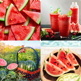2 Sweet Watermelon Plants for Planting, Watermelon Vine, Sweet Fruit Trees, 2PPP, 3-6 Inc Tall