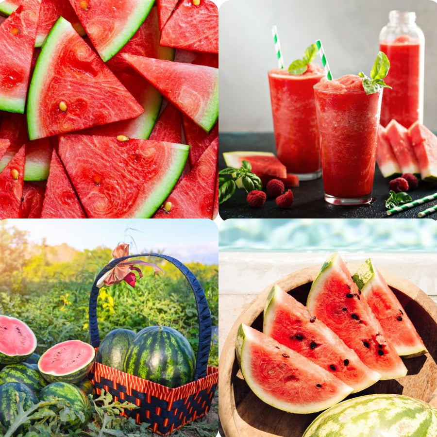 2 Sweet Watermelon Plants for Planting, Watermelon Vine, Sweet Fruit Trees, 2PPP, 3-6 Inc Tall