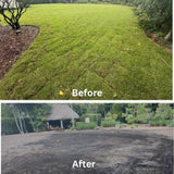 10000 Emerald Zoysia Grass Seed for Garden, Zoysia Grass Seeds, Ideal for Yard, Backyard Landscaping