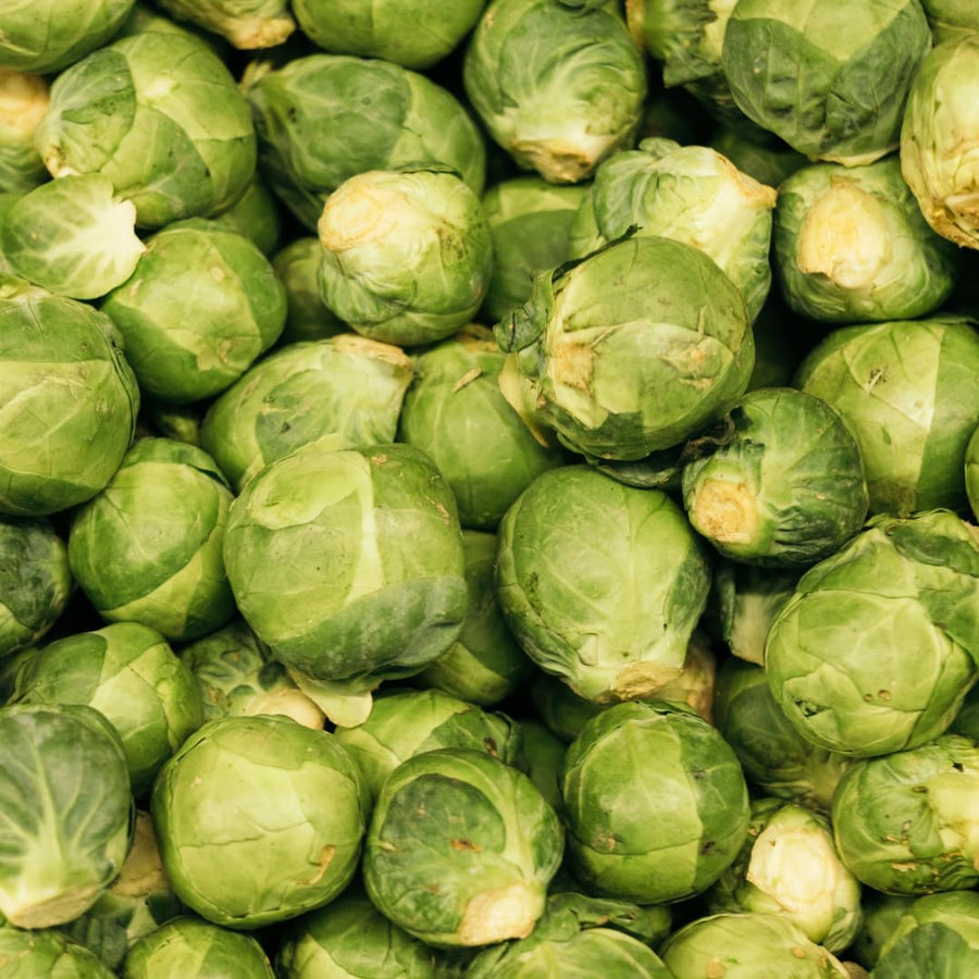Set of 2 Pot Brussel Sprouts Plants Live, Brussel Sprouts Plants, Vegetable Seedlings, 4 Inch Pot for Outdoor Growing