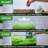 Pack 300 Aquarium Water Grass Seeds - Water Grass Ground Covering Seeds Plants for Landscaping and Aquarium Decoration