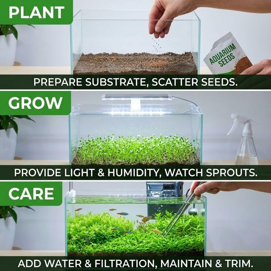 Pack 300 Aquarium Water Grass Seeds - Water Grass Ground Covering Seeds Plants for Landscaping and Aquarium Decoration