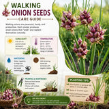 Pack of 150 Walking Onion Seeds for Planting, Walking Onion Seeds, Perennial Onion Seed, Easy Care Edible Plant for Container and Outdoor Garden