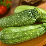 2 Green Squash Zucchini Plant Live, Squash Zucchini Plant, Vegetable Seedling, 3-5 Inches Tall for Outdoor Growing