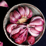 4 Large Red Garlic Bulbs for Planting, Heirloom Hardneck Seed Garlic, High Yield Garden, Fall and Spring Planting