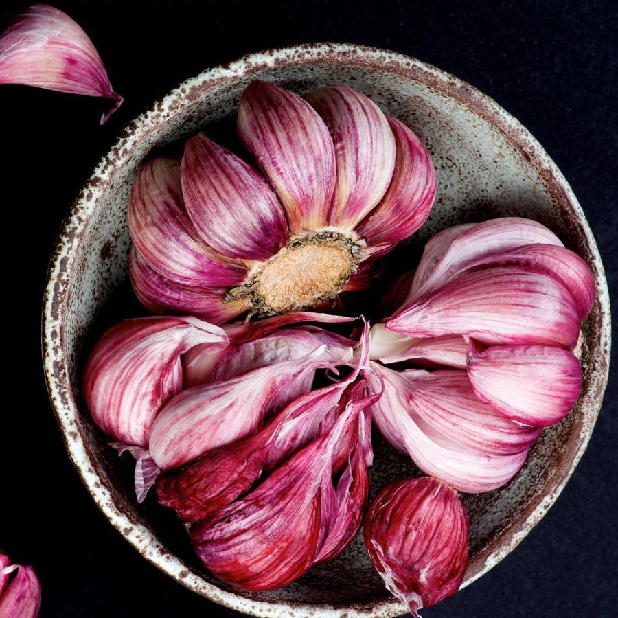 4 Large Red Garlic Bulbs for Planting, Heirloom Hardneck Seed Garlic, High Yield Garden, Fall and Spring Planting