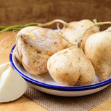 96 Heirloom Jicama Seeds, Jimaca Climbing for Vegetable Gardening