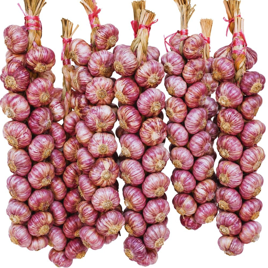 4 Large Red Garlic Bulbs for Planting, Garlic for Planting, High-Yield Hardy Garlic for Garden