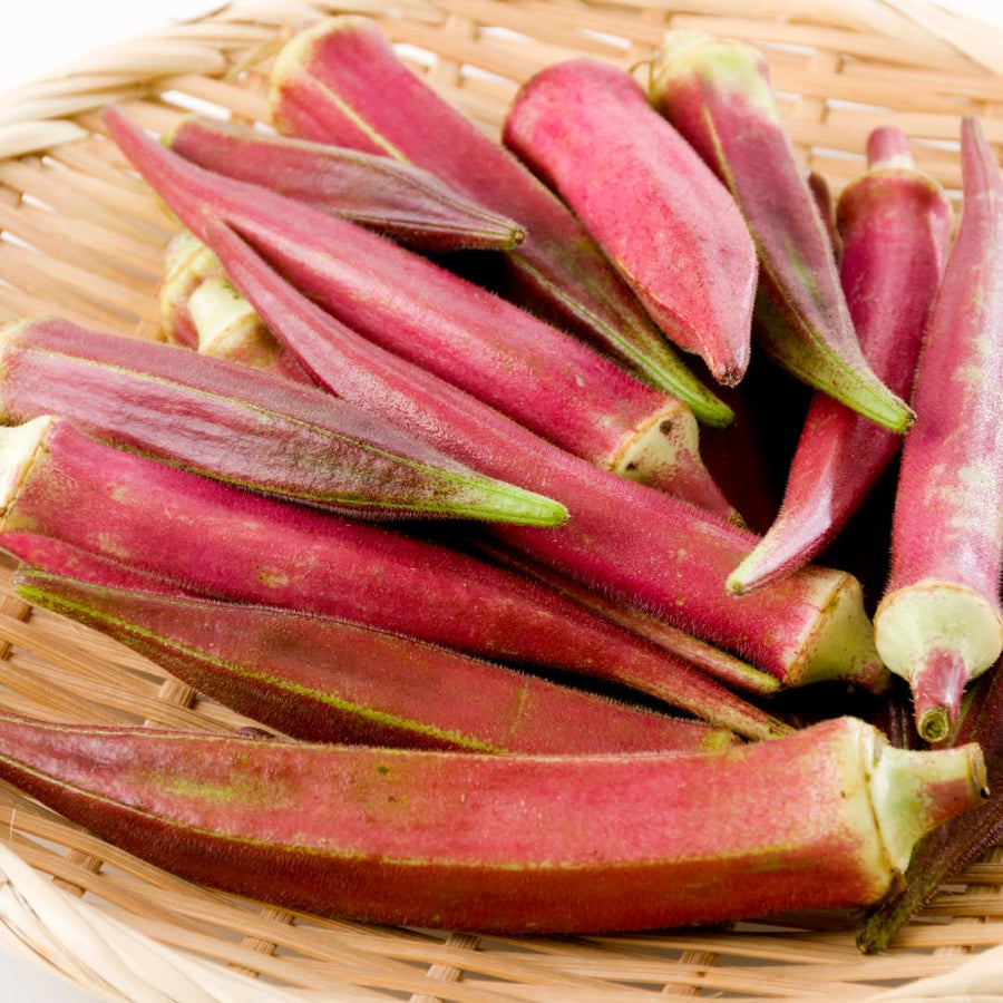 2 Live Red Okra Plants, 4 to 8 Inches Tall, Okra Starter Plants, Fast-Growing Vegetable Plants for Raised Beds and Gardens