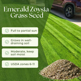 10000 Emerald Zoysia Grass Seed for Garden, Zoysia Grass Seeds, Ideal for Yard, Backyard Landscaping