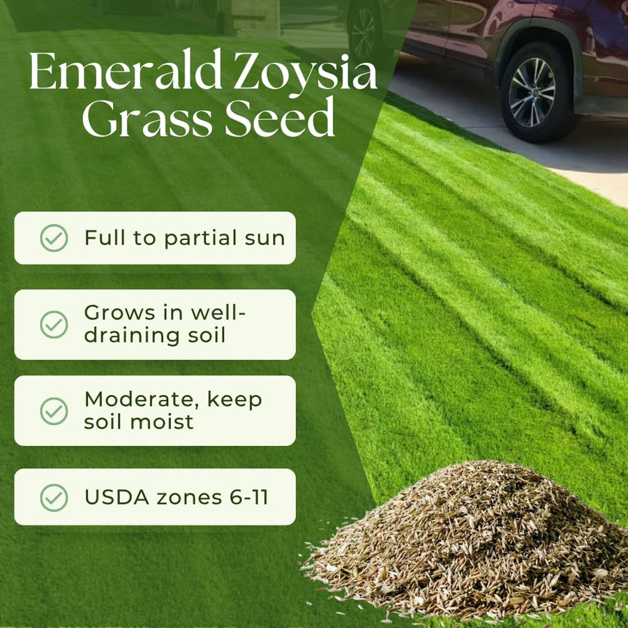 10000 Emerald Zoysia Grass Seed for Garden, Zoysia Grass Seeds, Ideal for Yard, Backyard Landscaping