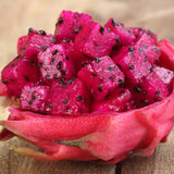 Red Dragon Fruit Live Plant, Sweet Edible Fruit Tree for Planting Outdoor, Tropical Fruit Tree 2 Feet Tall Fully Rooted