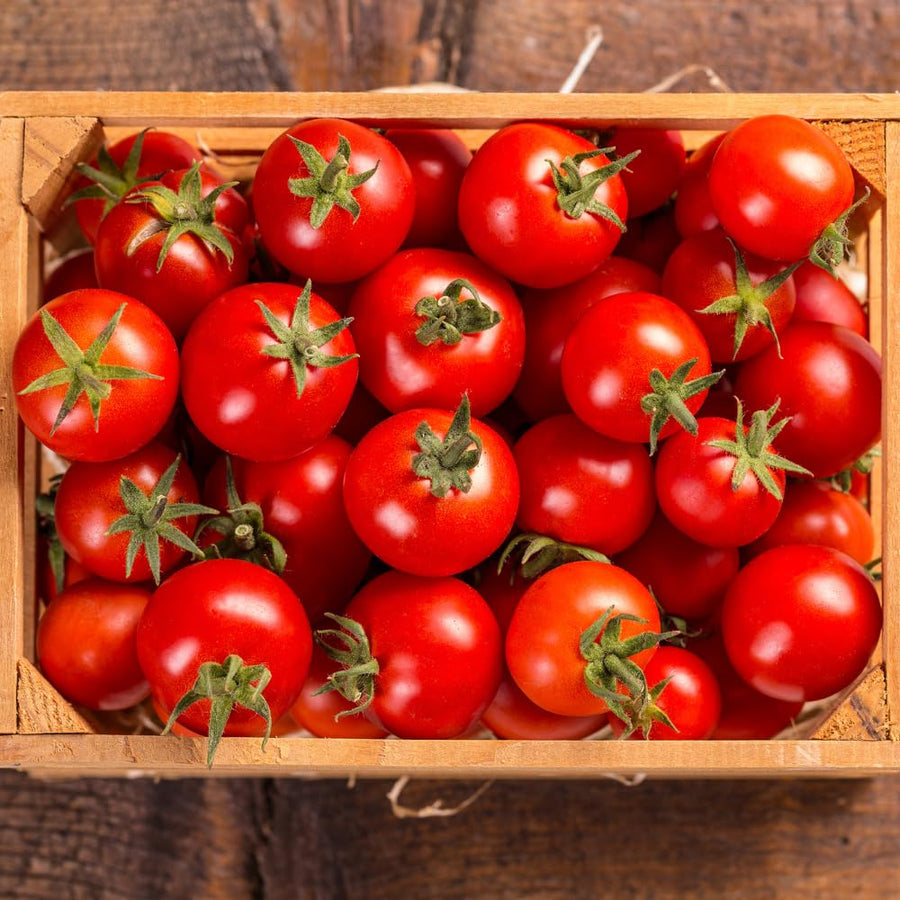 1000 Large Red Cherry Tomato Seeds, Sweet Red Tomatoes, Tomato Seeds for Outdoor Planting