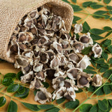 100 Moringa Oleifera Seeds for Planting, Fast Growing Tree Seeds, Suitable for Outdoor Garden Growing