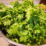 2000 Tan O Seeds, Chrysanthemum Greens, Vegetable Seeds for Planting Indoor Outdoor Garden