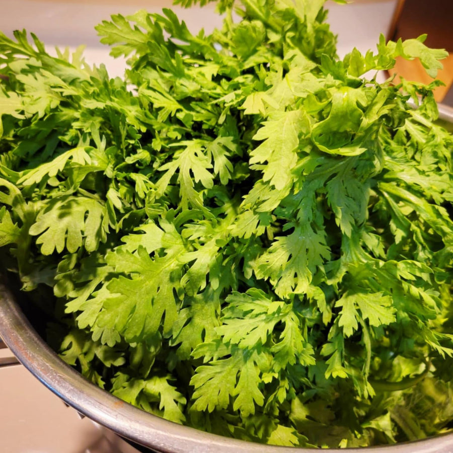 2000 Tan O Seeds, Chrysanthemum Greens, Vegetable Seeds for Planting Indoor Outdoor Garden