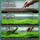 100 Aquarium Water Grass Seeds, Aquarium Plant Seeds, Water Grass Ground Covering Plant Seed, Grass Seed for Ground Covering